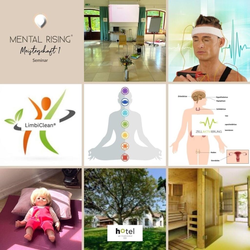 meisterschaft 1 seminar